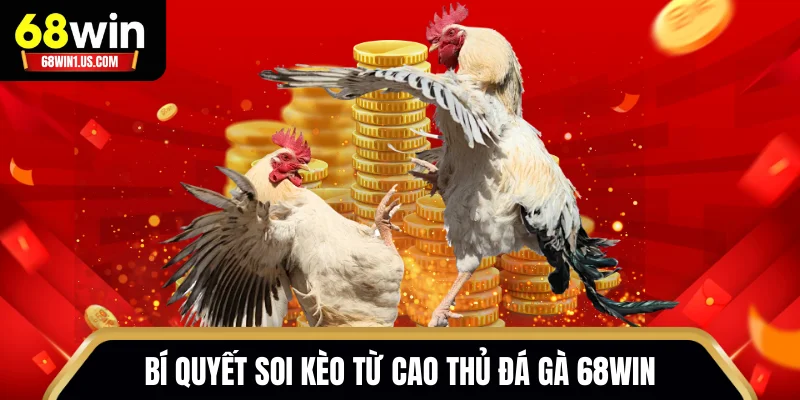 Đá Gà 68WIN – Livestream Sắc Nét Từ Trường Gà Quốc Tế 3 Bí quyết soi kèo từ cao thủ đá gà 68WIN để luôn nắm chắc phần thắng