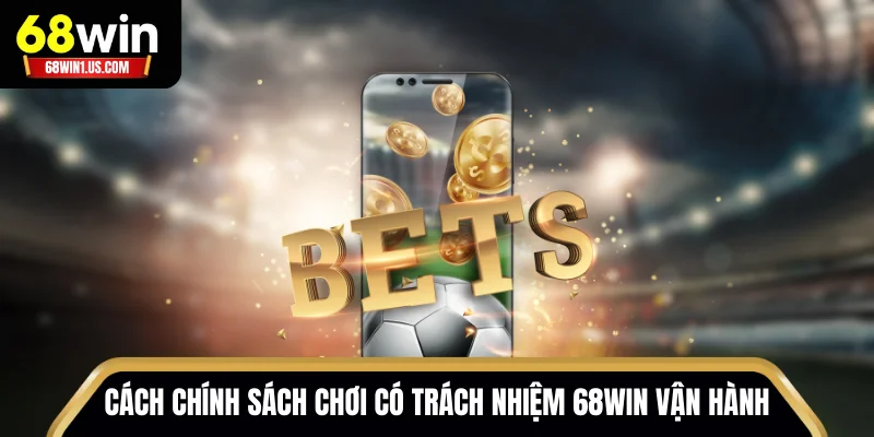 Chơi Có Trách Nhiệm 68WIN – Bí Quyết Của Cược Thủ Thông Thái 2 Cách chính sách chơi có trách nhiệm 68WIN vận hành