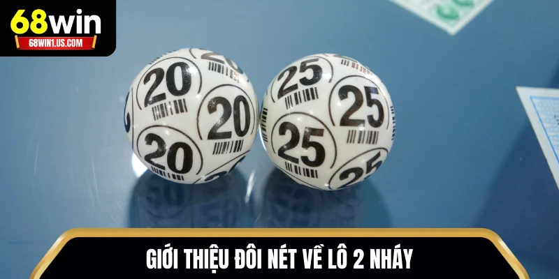 Giới thiệu đôi nét về lô 2 nháy