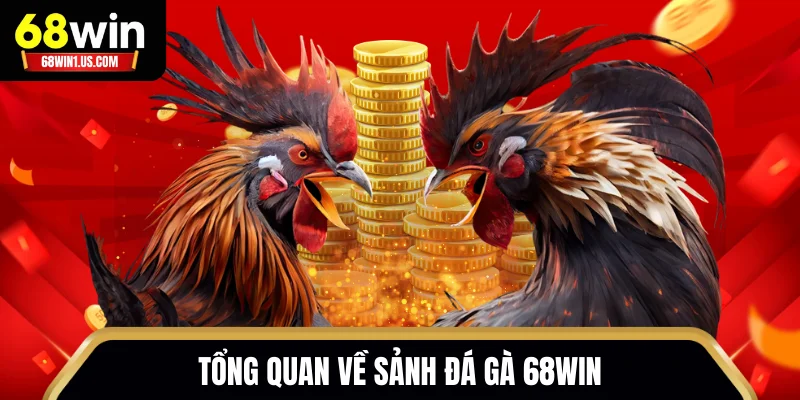 Đá Gà 68WIN – Livestream Sắc Nét Từ Trường Gà Quốc Tế 1 Tổng quan về sảnh đá gà 68WIN